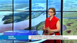 Интервью директора ИВЭП ДВО РАН М.В. Крюковой