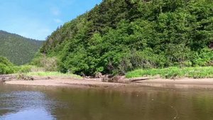 Комсомольское. Сахалин. июнь 2025 года