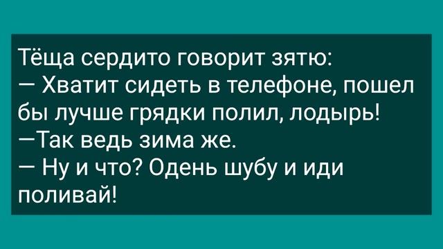 Конкурс На Самое Большое Хозяйство! Сборник Свежих Анекдотов! Юмор