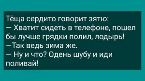 Конкурс На Самое Большое Хозяйство! Сборник Свежих Анекдотов! Юмор