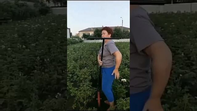Убирала я картошку
