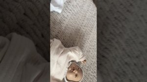 Утро с двумя реборнами