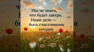 Статусы и цитаты 9