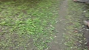 03-07-2025  пошла распаковка чек