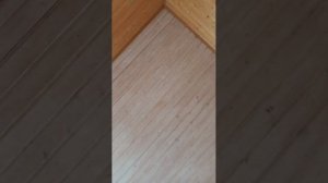 Мася в прямом эфире 2