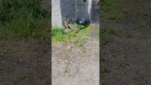 VID_20250703_131649