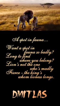 A SPOT IN FAUNA...