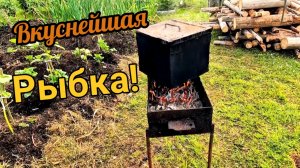 Закоптим судака, расскажу куда пропадаю