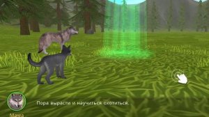 вайлд крафт легенда♡