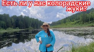 Почему моя мама  не ездит на огород?🤔😃😊