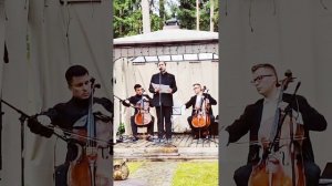 Ah , mio cor... ария Г.Ф.Генделя