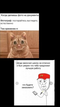 Новые мемы