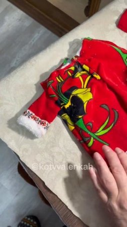 Про волшебство  #котики #котвваленках