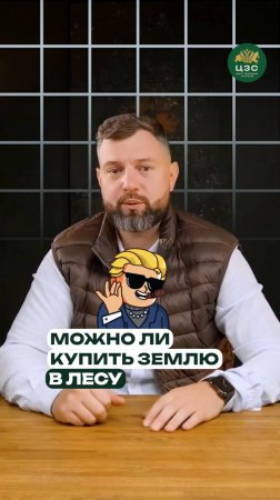 3 легальных пути купить землю в лесу быстро и просто!