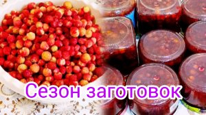 Опять🍓собрали🍓клубнику #заготовки #ягоды #варенье клубничное