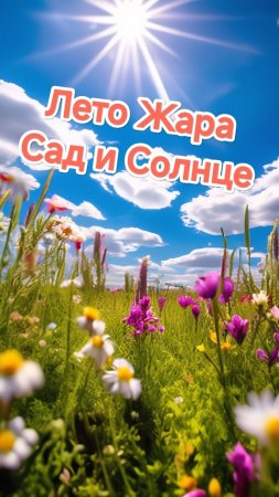 Лето Жара Сад и Солнце