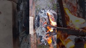что купила себе и шашлычок мама может куриный.