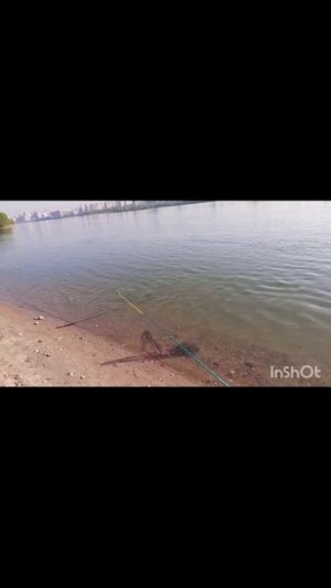 На речке.