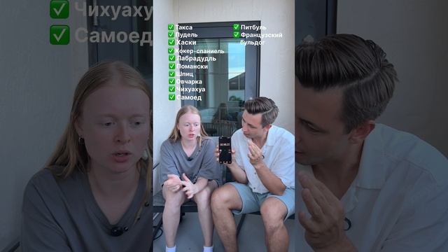 Какую породу выбираешь?🐶 #морозовы #юмор #challenge