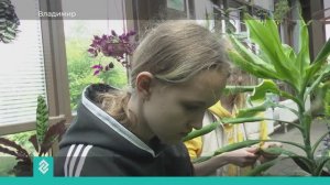 15 школьников от 14 до 17 лет зарабатывают свои первые деньги, трудясь в Патриаршем саду Владимира