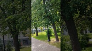 Нижегородский Кремль Колокольный звон 🛕🛎️ 20.06.2025