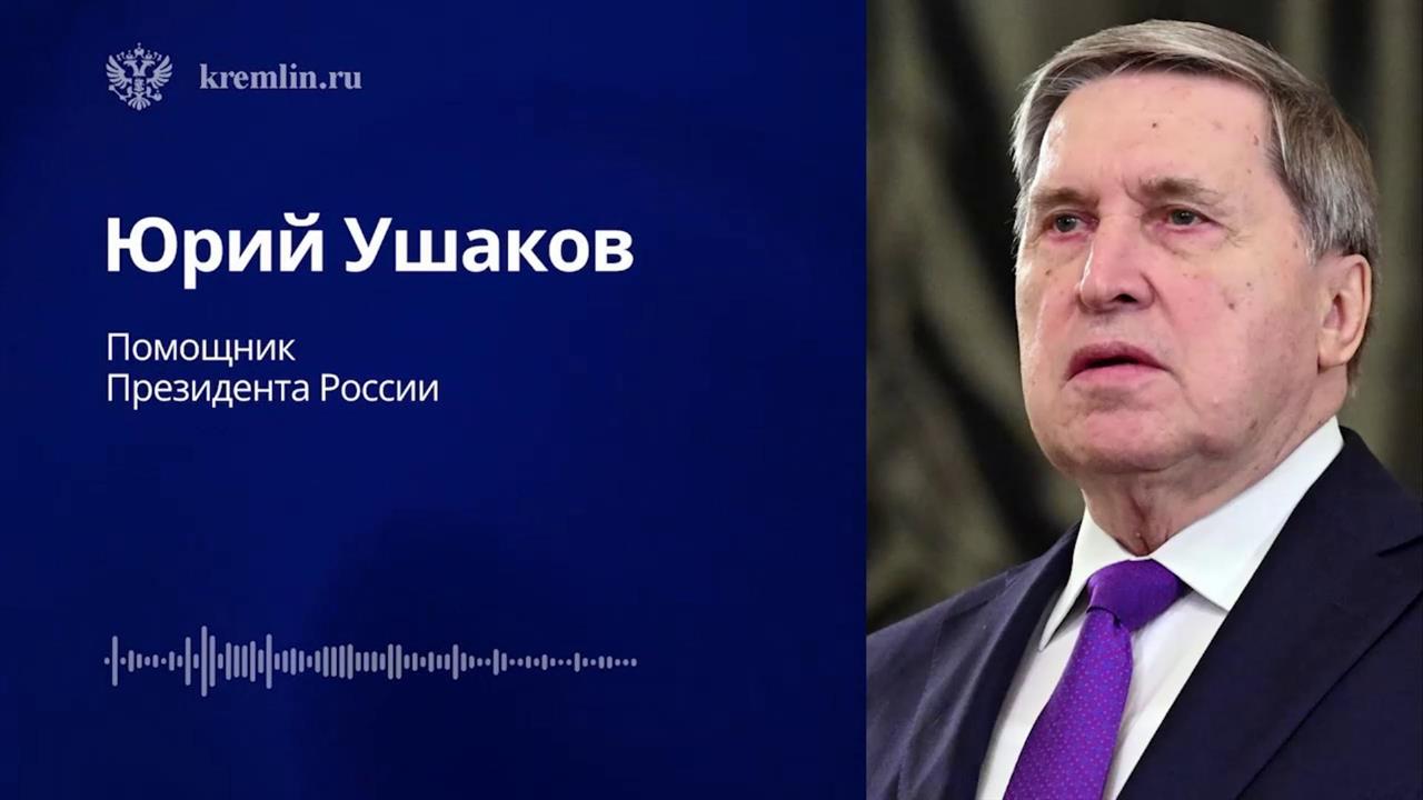 Путин заявил Трампу, что Россия продолжит достигать поставленных целей СВО