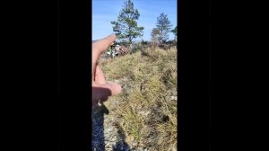 3 прохват квадро93. Эндуро, Геленджик, BRZ H6 250 кубов.