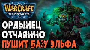 ОРДЫНЕЦ ОТЧАЯННО ПУШИТ БАЗУ ЭЛЬФА: Franzyzz (Orc) vs Soyma (Ne) Warcraft 3 Reforged