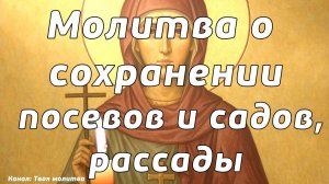 Молитва Святой мученице Параскеве, нареченной Пятнице,о сохранении посевов и садов, рассады! Служба