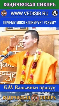 Почему мясо блокирует Разум