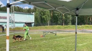 ЩЕНКИ СУКИ / КЧК ЗАРЕЧНЫЙ 22 июня`25 Ю.Скиба Моно немецких овчарок