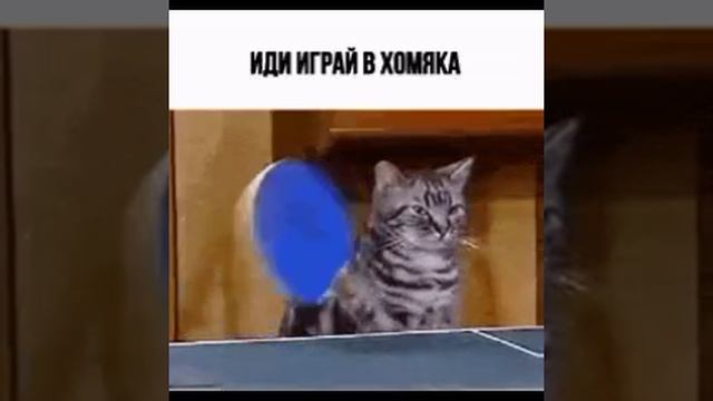1000006037.mp4