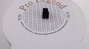 PL2410
