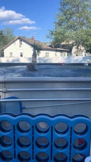 VID_20250703_184439_047.mp4