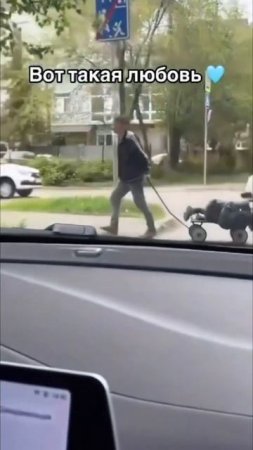 Вот такая любовь