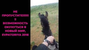 КРАСОТУ ОТЛИЧАЕТ НЕПОДЧИНЕНИЕ ОБЩИМ ПРАВИЛАМ.
НЕ РАВНЯТЬСЯ НА ТУПЫЕ ОБЫЧАИ.