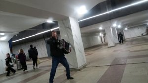 Играй Гармонь