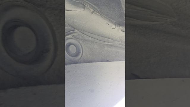 1000097297.mp4