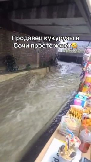 Продавец кукурузы