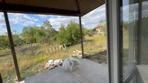 IMG_5175