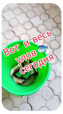 Вот и весь улов сегодня