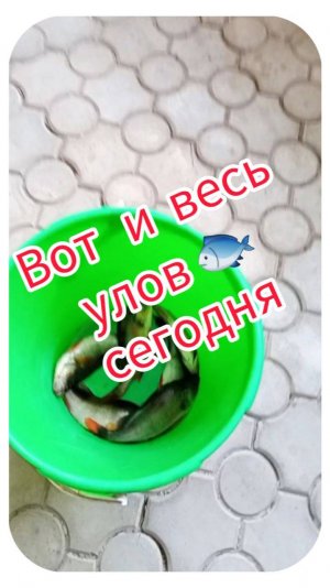 Вот и весь улов сегодня