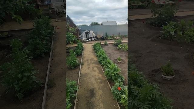 обзор участка