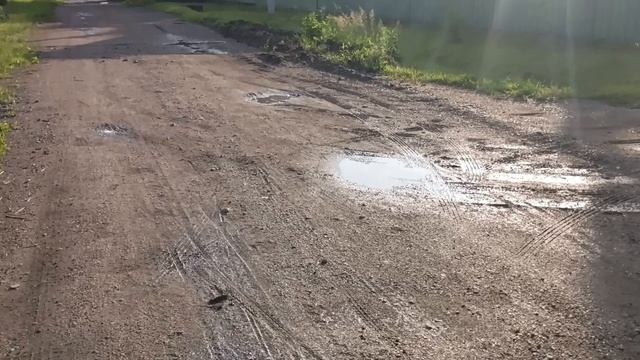 Будни Вяземского