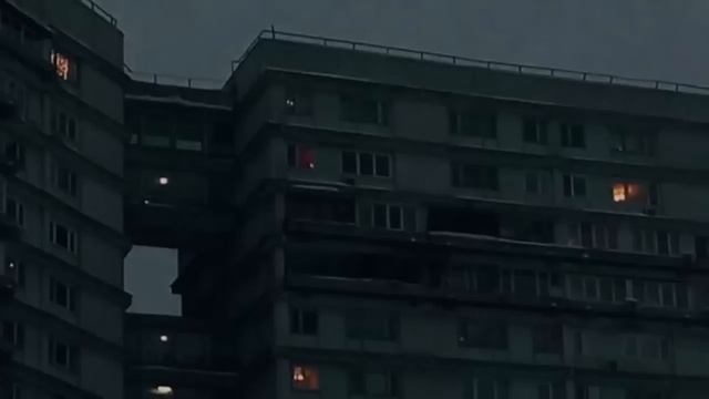 loneliness has become my comfort. смотреть онлайн