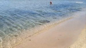 Крым Гаспра Ялта пляж санатория Днепр сегодня 3 июля 2025. Море и погода в Ялте сейчас