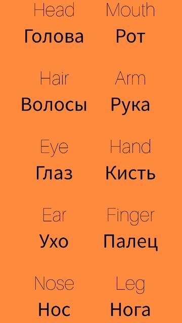 Части тела 1 Body parts 1