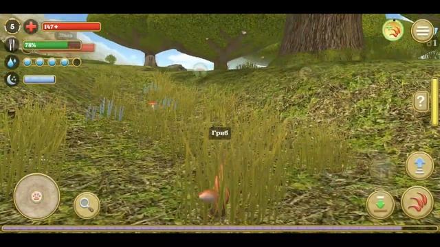 Squirrel Simulator 2 (Симулятор Белки 2)|Mobile Games