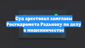 Суд арестовал замглавы Росгидромета Радькову по делу о мошенничестве