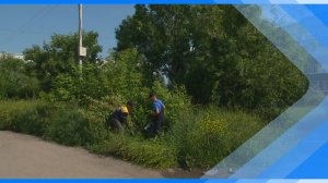 03.07.2025   Мини-субботник состоялся в районе Красного камня